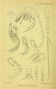 n465_w1150
