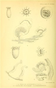 n797_w1150
