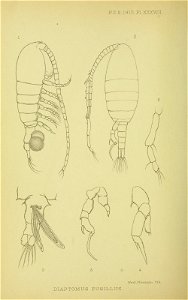 n367_w1150