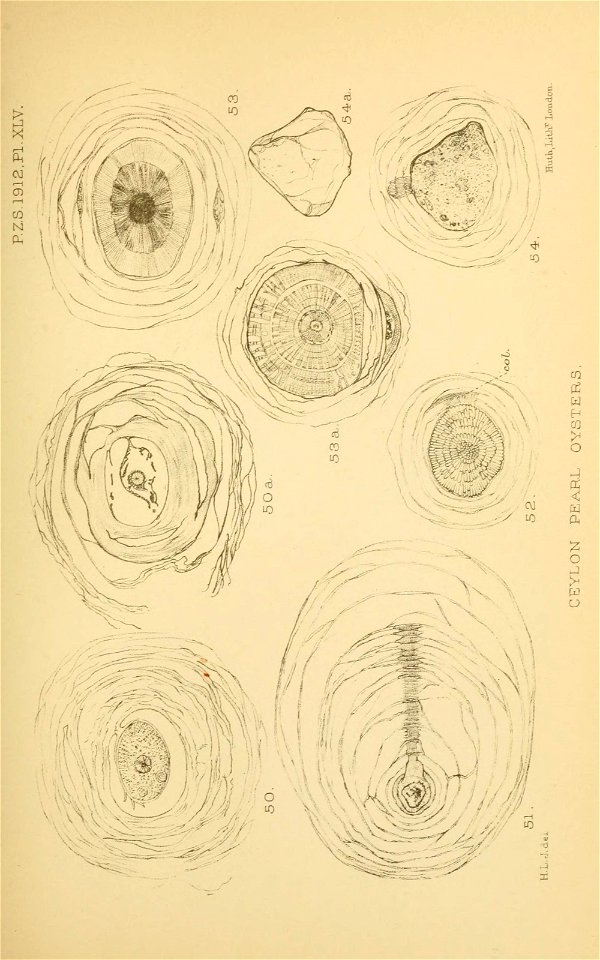n418_w1150
