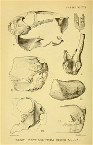 n681_w1150