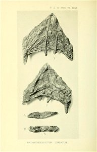 n779_w1150