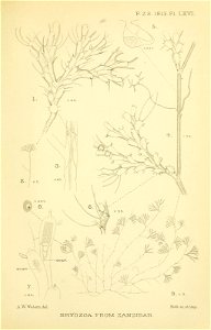 n206_w1150