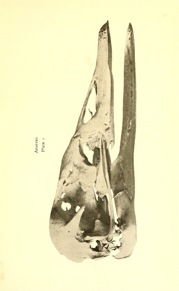 n394_w1150