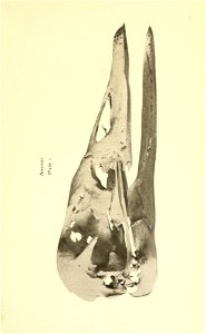 n394_w1150