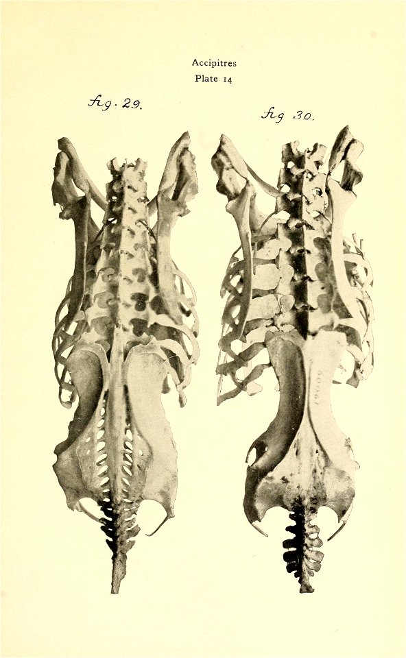 n194_w1150