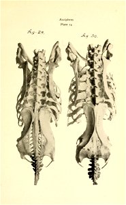 n194_w1150