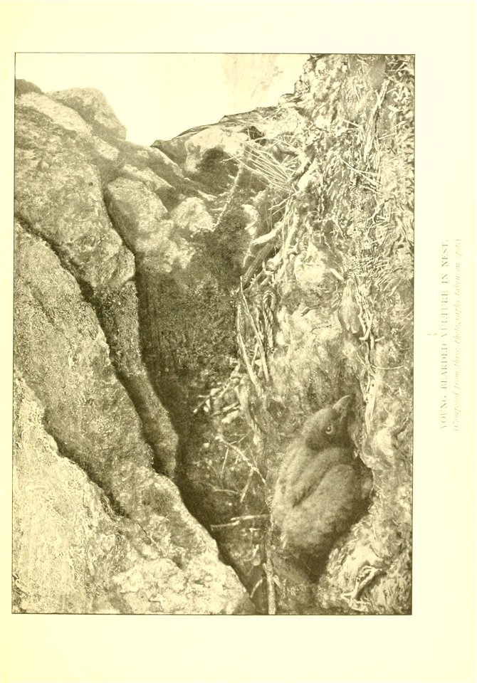 n528_w1150