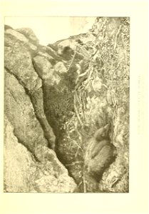 n528_w1150