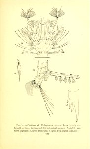 n286_w1150