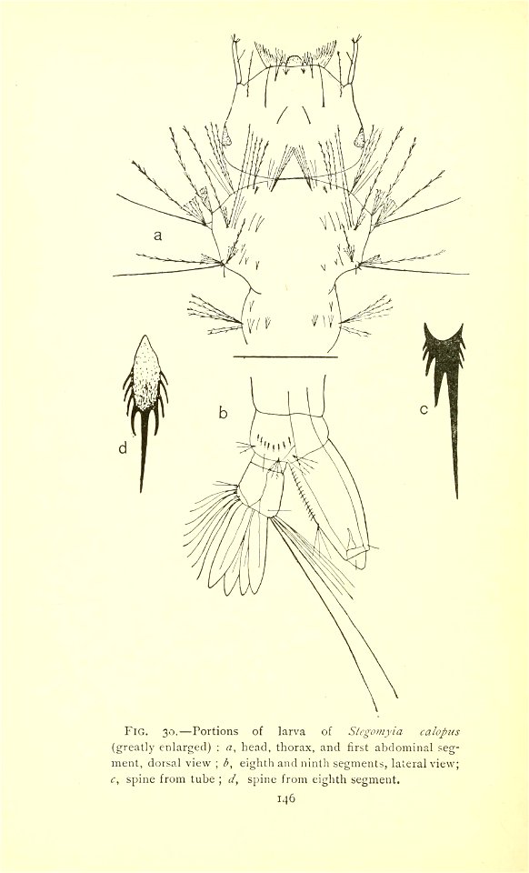 n183_w1150