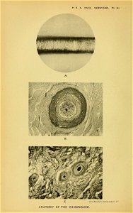 n399_w1150