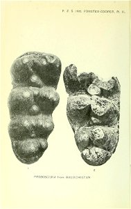 n197_w1150