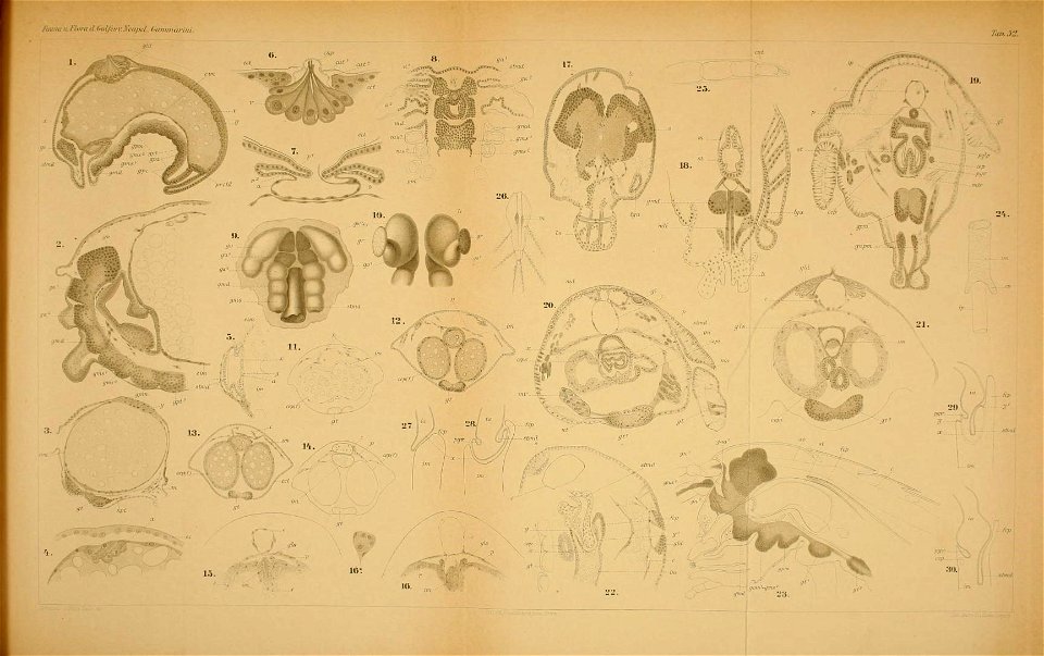 n162_w1150