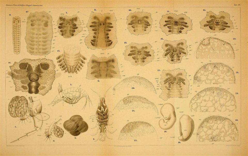 n158_w1150