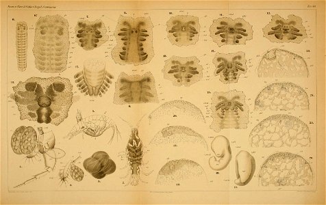 n158_w1150