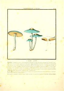 n56_w1150