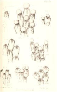 n198_w1150