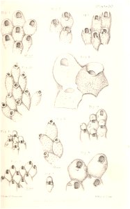 n138_w1150