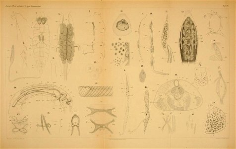 n154_w1150