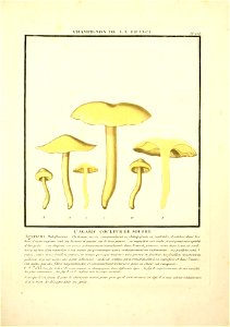 n52_w1150