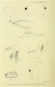 n399_w1150
