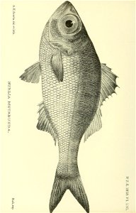 n103_w1150