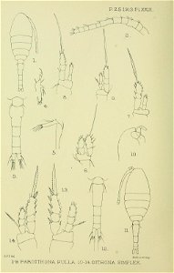 n299_w1150