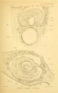 n398_w1150