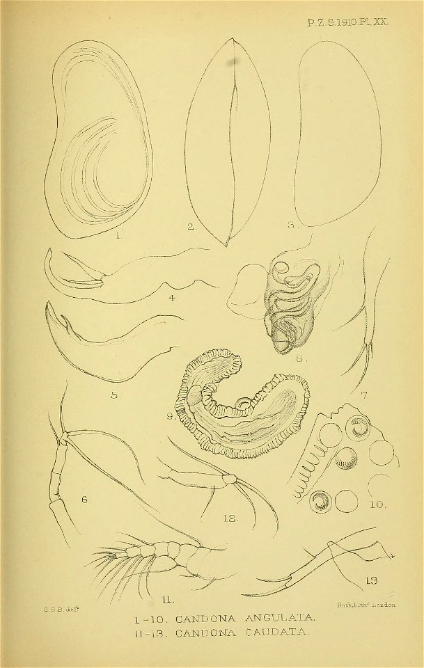 n286_w1150
