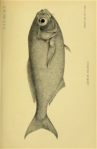 n148_w1150