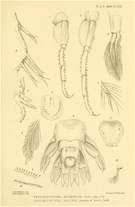 n456_w1150