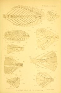 n38_w1150
