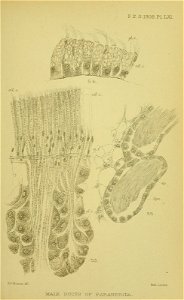 n522_w1150