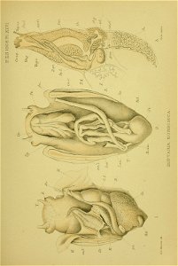 n492_w1150