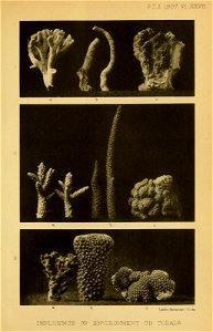 n118_w1150