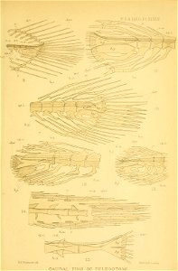 n36_w1150