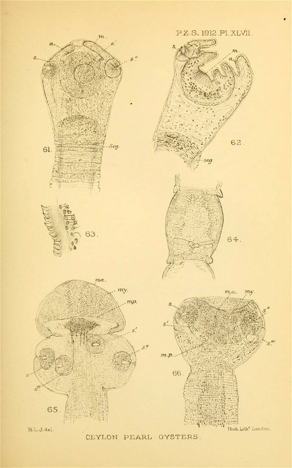 n422_w1150