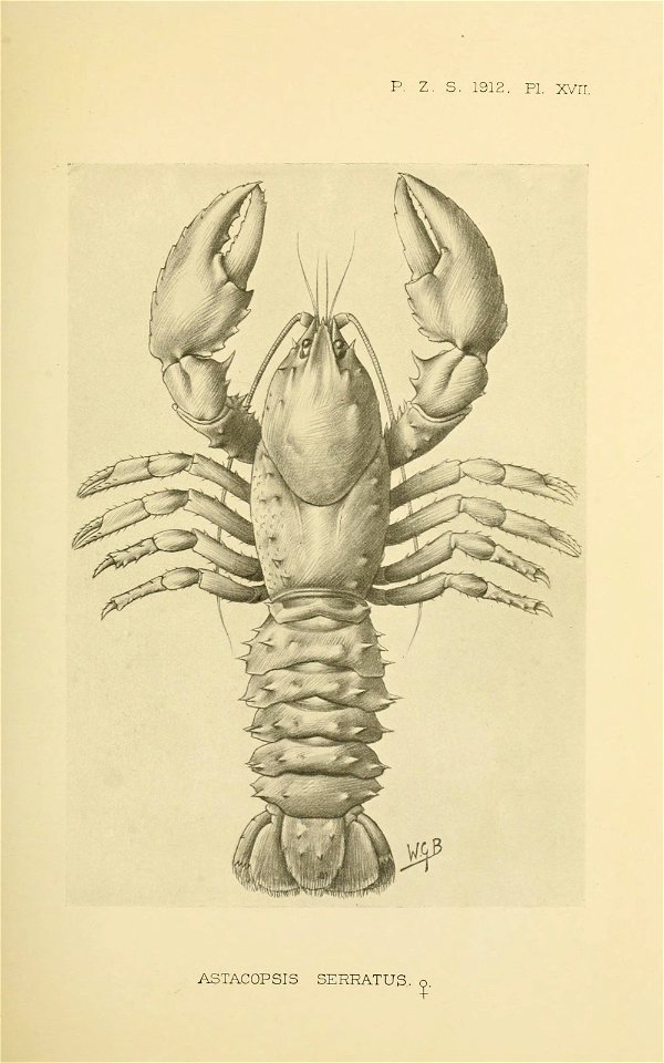 n216_w1150
