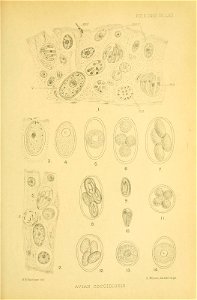 n182_w1150