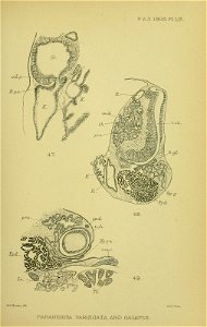 n518_w1150