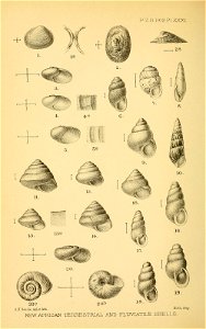 n283_w1150