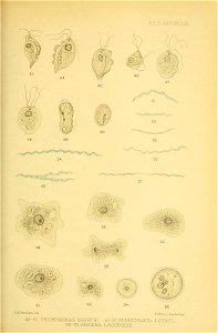 n164_w1150