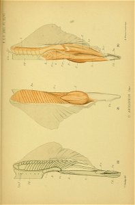 n710_w1150