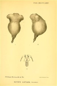 n292_w1150