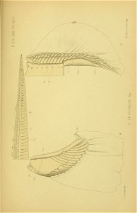 n708_w1150