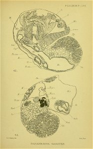 n514_w1150