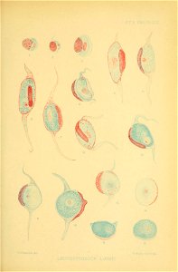 n160_w1150