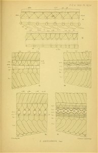 n706_w1150