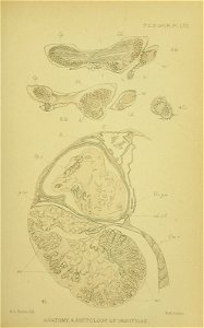 n512_w1150